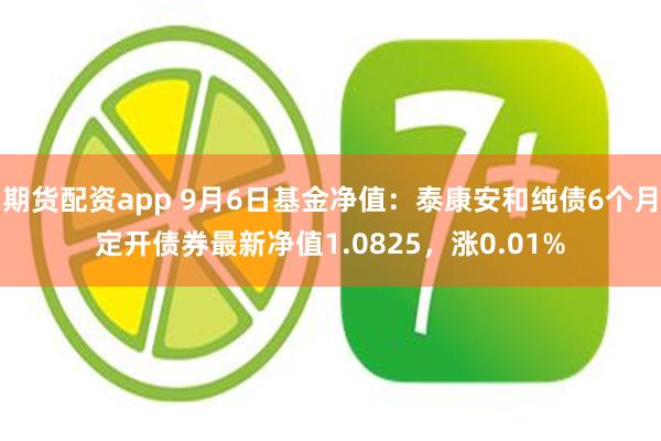 期货配资app 9月6日基金净值：泰康安和纯债6个月定开债券最新净值1.0825，涨0.01%