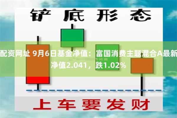 配资网址 9月6日基金净值：富国消费主题混合A最新净值2.041，跌1.02%