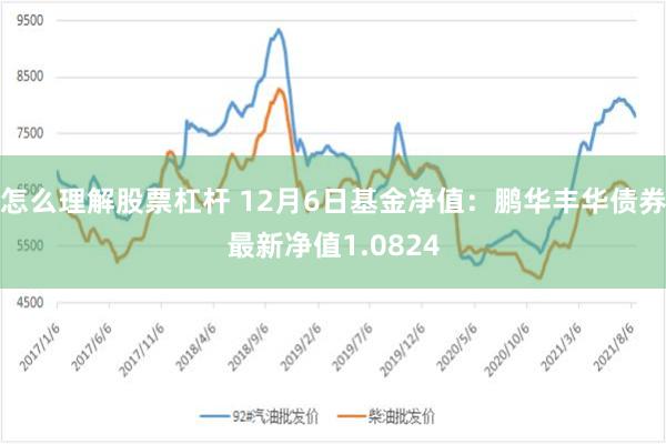 怎么理解股票杠杆 12月6日基金净值：鹏华丰华债券最新净值1.0824