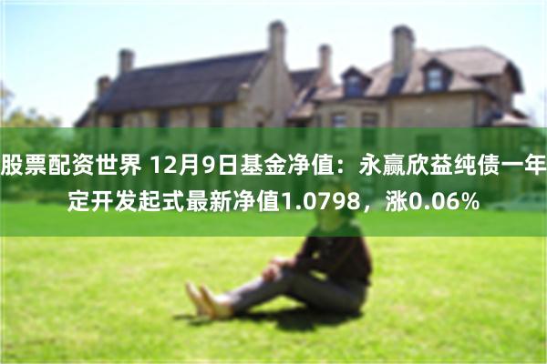 股票配资世界 12月9日基金净值：永赢欣益纯债一年定开发起式最新净值1.0798，涨0.06%