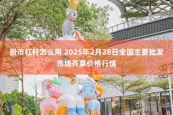 股市杠杆怎么用 2025年2月28日全国主要批发市场芥菜价格行情